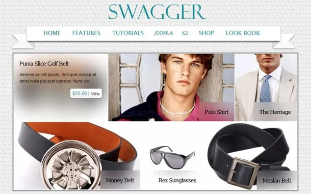 Swagger Joomla Template